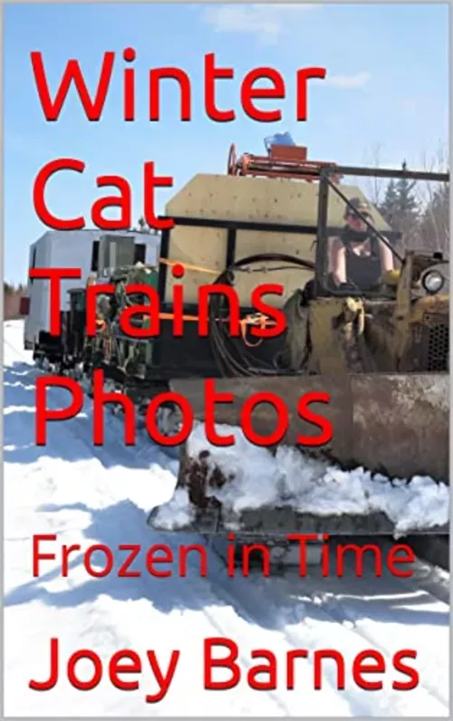 [E-Book] Joey Barnes - Winter Cat Trains Photos: Frozen In Time